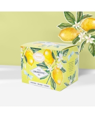 Hiver recharge Tisane Bio*