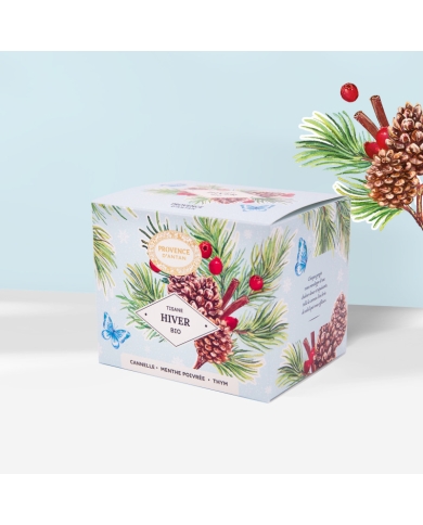 Hiver recharge Tisane Bio*