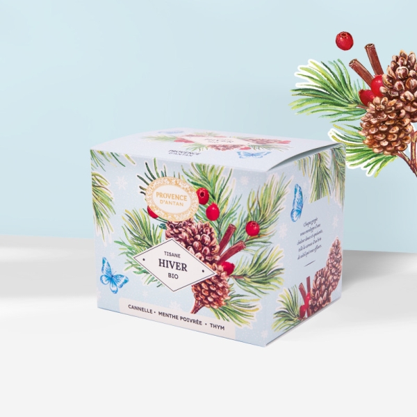 Hiver recharge Tisane Bio*