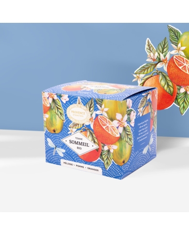 Sommeil recharge Tisane Bio*