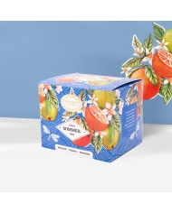 Hiver recharge Tisane Bio*