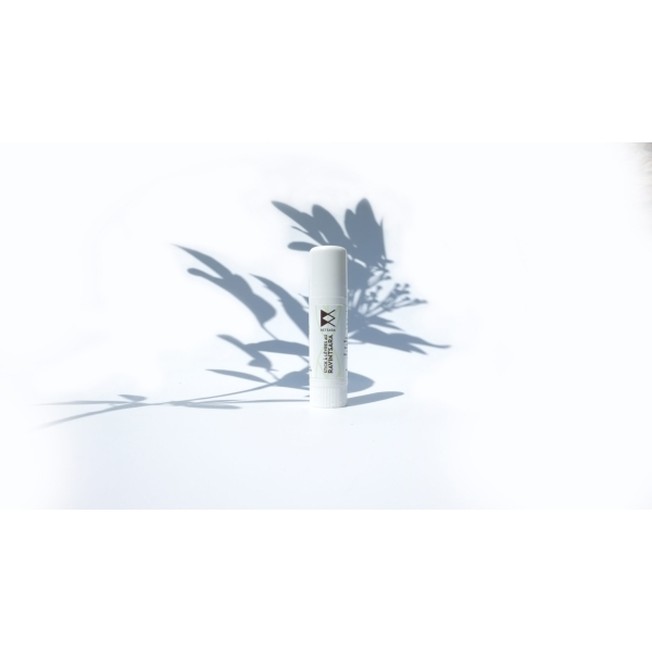 Stick à lèvres Ravintsara