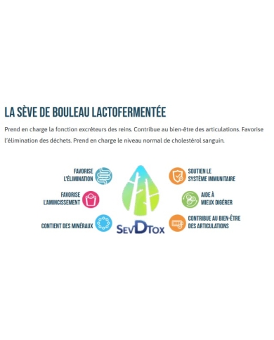 Sève de Bouleau lacto-fermentée Sevdtox