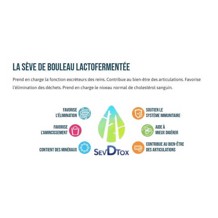 Sève de Bouleau lacto-fermentée Sevdtox