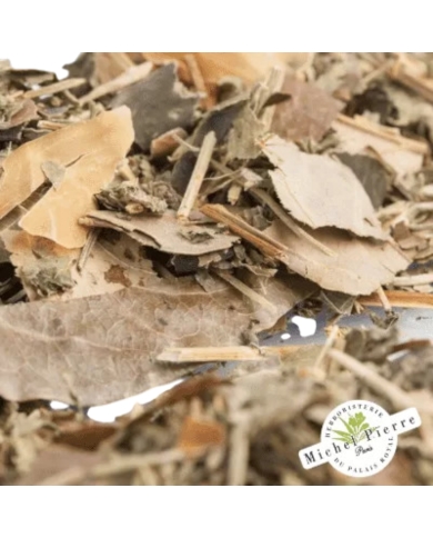 Tisane Arrêt Tabac Herboristerie du Palais Royal Michel Pierre