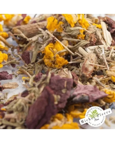 Tisane Confort respiratoire Herboristerie du Palais Royal Paris Michel Pierre