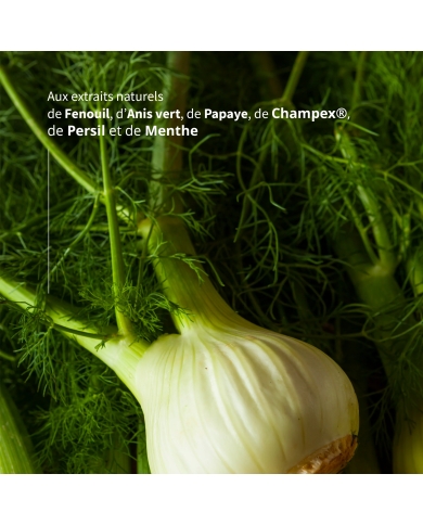 DIGEST Haleine - Digestion & haleine fraîche