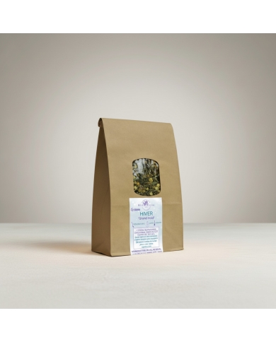 Tisane Hiver « Grand Froid » – Défenses Naturelles & Immunité | Gingembre, Ravintsara, Citron