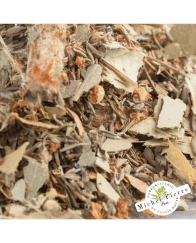 Tisane confort Sinusite Herboristerie du Palais Royal Paris Michel Pierre