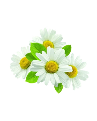 DÉMAQUILLANT YEUX MICELLAIRE - CERTIFIÉ BIO*** - 150 ml