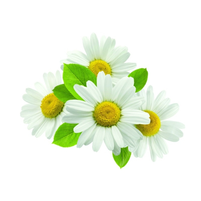 DÉMAQUILLANT YEUX MICELLAIRE - CERTIFIÉ BIO*** - 150 ml