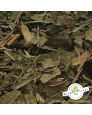 Tisane Foie Vésicule|Fonctions Hépatiques & Biliaires | 150g