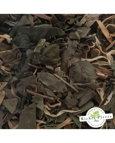 Tisane Résistance – Ortie Piquante, Cassis & Souci | Michel Pierre | 150g