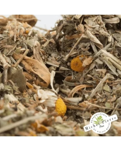 Tisane Spasmes Digestifs Michel Pierre| 9 Plantes pour la Digestion | 150g