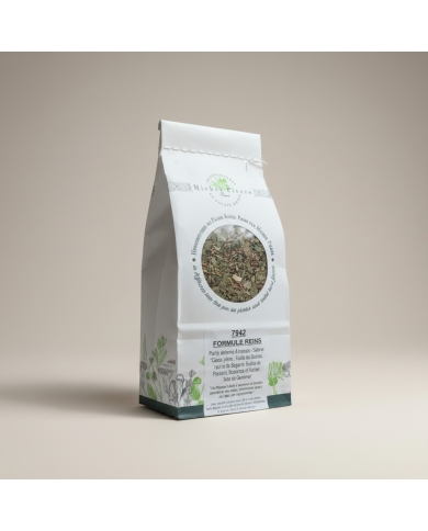 Tisane Reins Michel Pierre |7 Plantes pour la Fonction Rénale | 150g