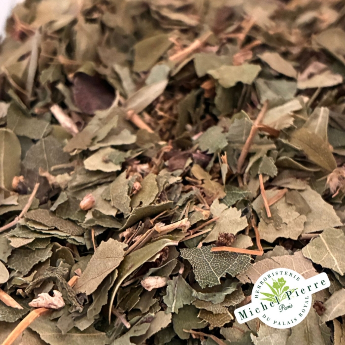 Tisane Reins Michel Pierre |7 Plantes pour la Fonction Rénale | 150g
