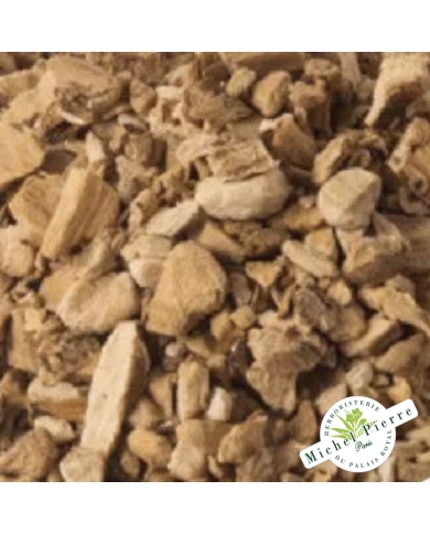 Acore odorant-Calamus - rhizome en vrac