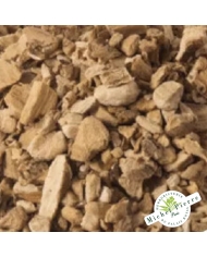 Astragale - racines en vrac