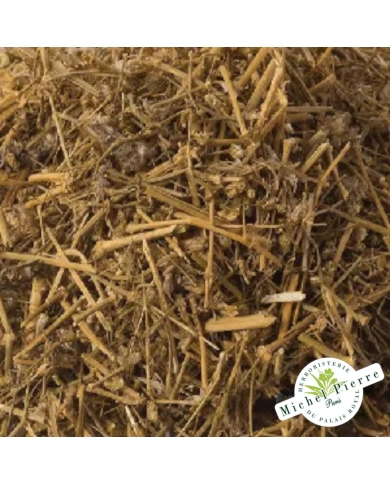 Arénaria (Sabline) - partie aérienne en vrac Herboristerie du Palais Royal Paris