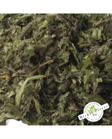 Armoise - Feuilles en vrac Herboristerie du Palais Royal Paris
