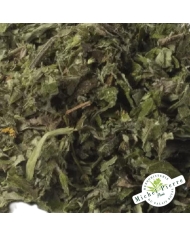 Armoise - Feuilles en vrac Herboristerie du Palais Royal Paris