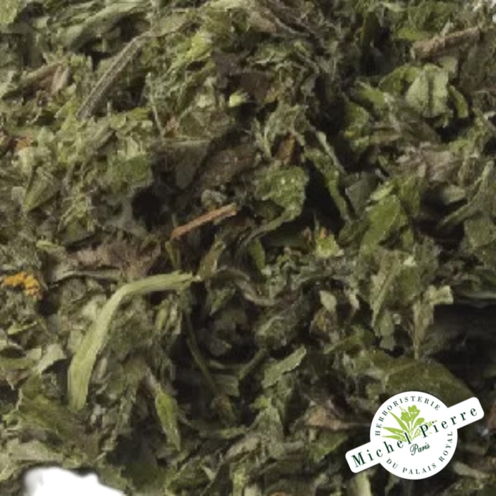 Armoise - Feuilles en vrac Herboristerie du Palais Royal Paris