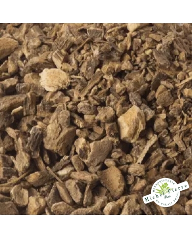 Aunée - Racine en vrac Herboristerie du Palais Royal Paris Michel Pierre