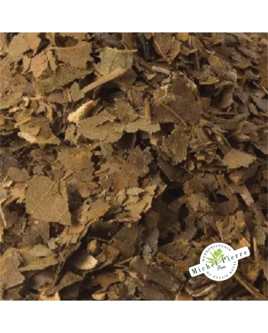 Avocatier - Feuilles en vrac Herboristerie du Palais Royal Paris Michel Pierre