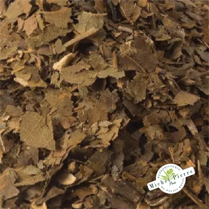 Avocatier - Feuilles en vrac Herboristerie du Palais Royal Paris Michel Pierre