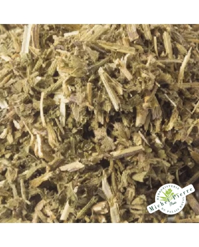 ballote - marrube noir- herboristerie du palais royal