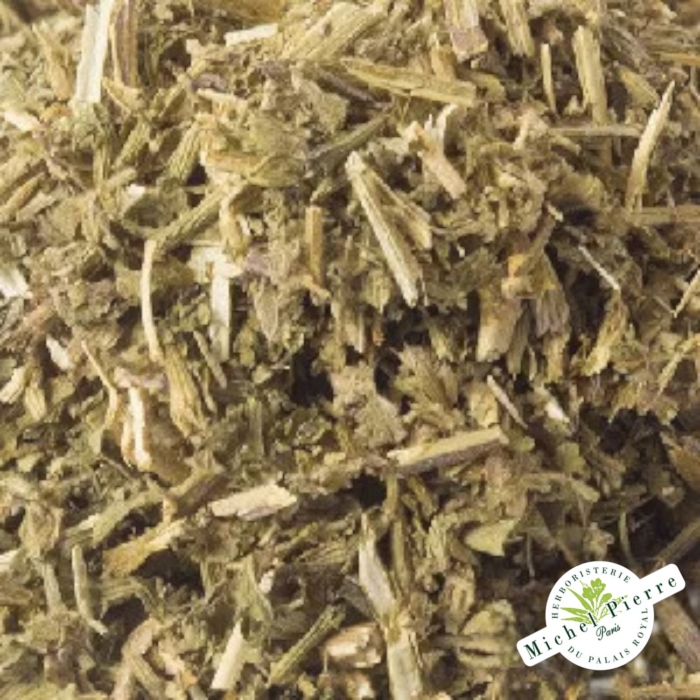 ballote - marrube noir- herboristerie du palais royal