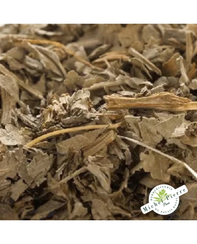 Balsamite - Menthe Coq en vrac Herboristerie du Palais Royal Michel Pierre Paris