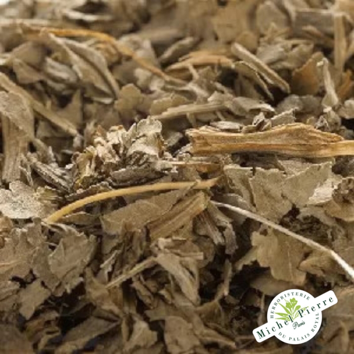 Balsamite - Menthe Coq en vrac Herboristerie du Palais Royal Michel Pierre Paris