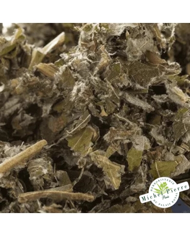 Bardane feuilles en vrac - HERBORISTERIE DU PALAIS ROYAL PARIS MICHEL PIERRE