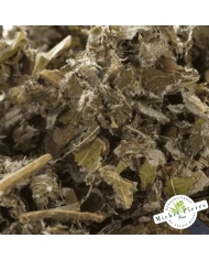 Bardane feuilles en vrac - HERBORISTERIE DU PALAIS ROYAL PARIS MICHEL PIERRE