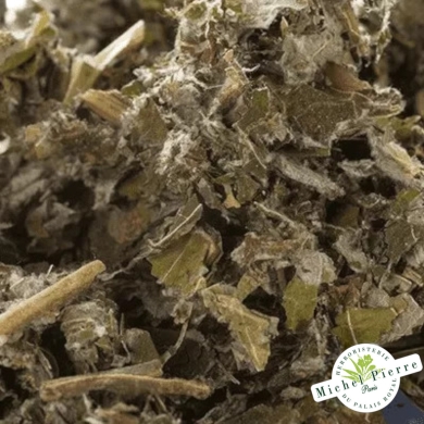 Bardane feuilles en vrac - HERBORISTERIE DU PALAIS ROYAL PARIS MICHEL PIERRE