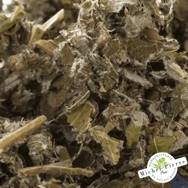 Bardane feuilles en vrac - HERBORISTERIE DU PALAIS ROYAL PARIS MICHEL PIERRE