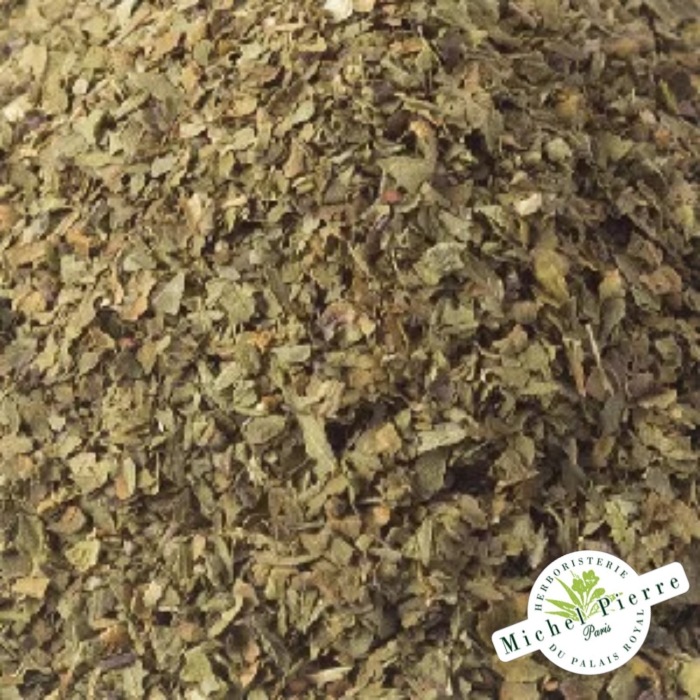 Basilic - Feuilles en vrac Herboristerie du Palais Royal Michel Pierre Paris