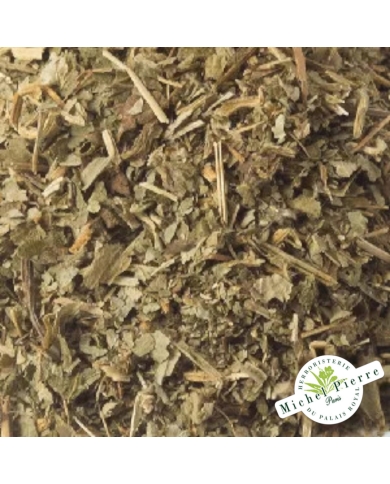 Benoite - Sommités en vrac Herboristerie du Palais Royal Michel Pierre Paris