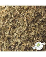 Benoite - Sommités en vrac Herboristerie du Palais Royal Michel Pierre Paris