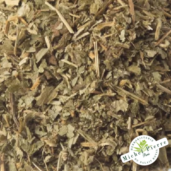 Benoite - Sommités en vrac Herboristerie du Palais Royal Michel Pierre Paris
