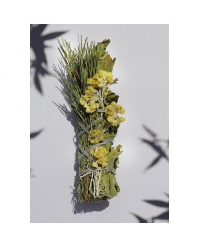 Bouquet du petit Ours à brûler