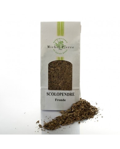 Scolopendre - Fronde en vrac Scolopendre - Fronde en vrac