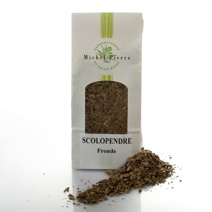 Scolopendre - Fronde en vrac