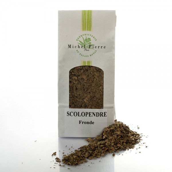 Scolopendre - Fronde en vrac