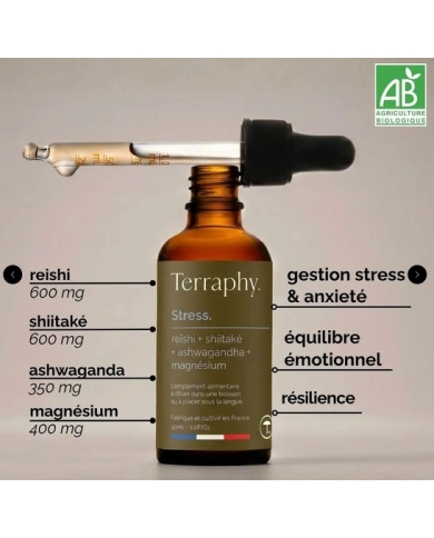 Complexe Stress