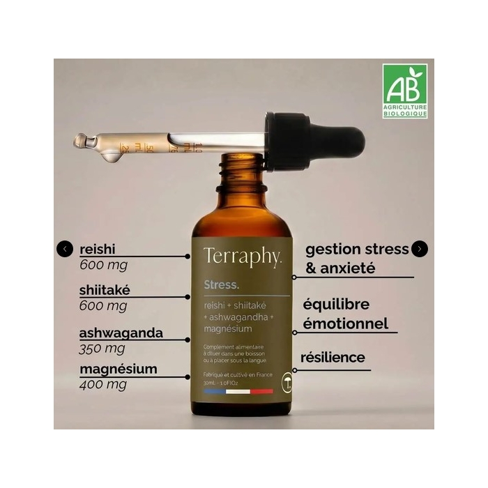 Complexe Stress