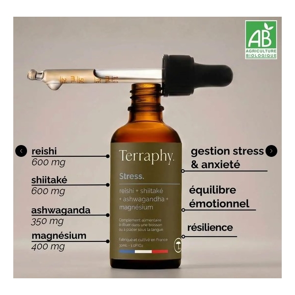 Complexe Stress