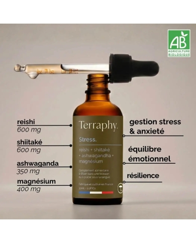 Complexe Stress