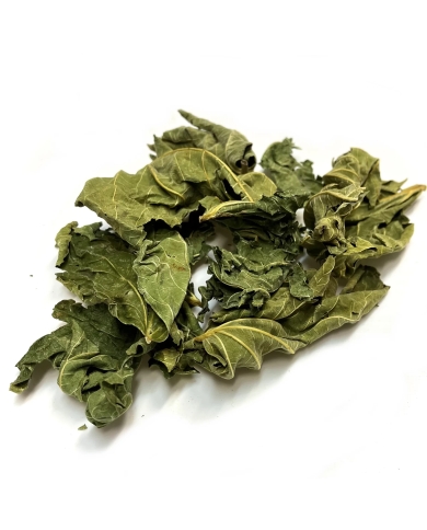 Figuier - Feuille en vrac Herboristerie du Palais Royal Paris